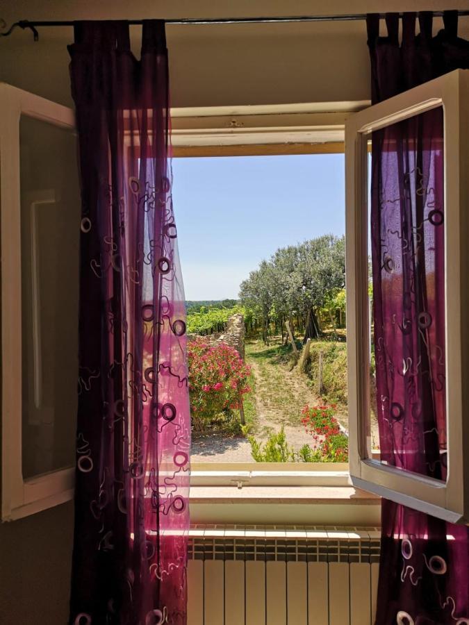 B&B Stella Dell'Adriatico Ortona Exteriér fotografie